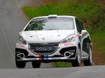 Peugeot 208 R2 Rally Car 2012 года